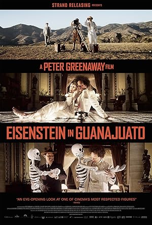 Eisenstein in Guanajuato poster